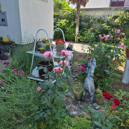 Sena 4 Apartament